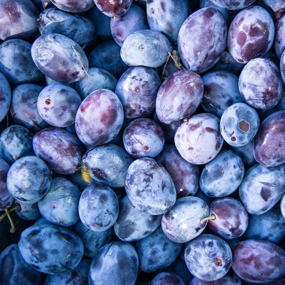 Babadağ Restorant-9